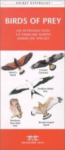 book cover of Birds of Prey: An Introduction to Familiar North American Species by James Kavanagh