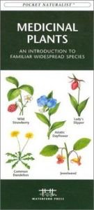 book cover of Medicinal Plants: An Introduction to Familiar North American Species by James Kavanagh