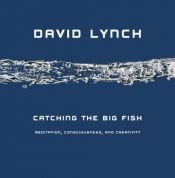 book cover of Catching the Big Fish: Meditation, Consciousness, and Creativity by David Lynch
