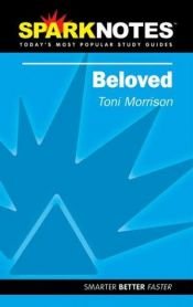 book cover of Spark Notes Beloved by Toni Morisone