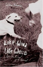 book cover of Like Wind, Like Wave: Fables from the Land of the Repressed by Stefano Bolognini