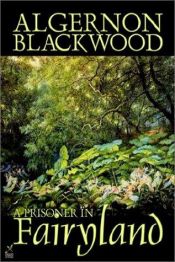 book cover of A Prisoner in Fairyland by Algernon Blackwood