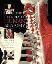 book cover of The Illustrated Human Anatomy by Primal Pictures