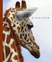 book cover of Giraffes by Barbara A. Somervill