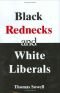 Black rednecks and white liberals and other cultural and ethnic issues