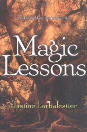 book cover of 2 Magische Spuren by Justine Larbalestier|Kattrin Stier