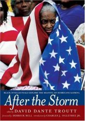 book cover of After the Storm: Black Intellectuals Explore the Meaning of Hurricane Katrina by David Troutt