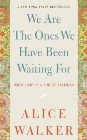book cover of We Are the Ones We Have Been Waiting for: Inner Light in a Time of Darkness by Элис Уокер