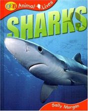 book cover of Sharks by Sally Morgan