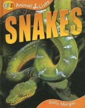 book cover of Snakes (QED Animal Lives) by Sally Morgan