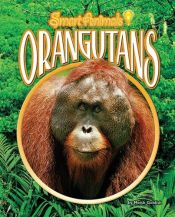 book cover of Orangutans (Smart Animals) by Meish Goldish