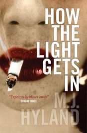 book cover of How the Light Gets In by M. J. Hyland
