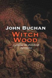 book cover of Witch Wood by John Buchan