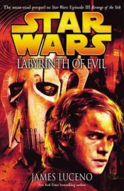 book cover of Labyrinth of Evil by James Luceno