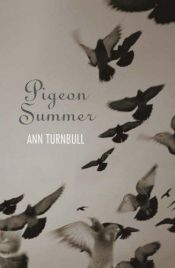 book cover of Pigeon summer by Ann Turnbull