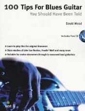 book cover of 100 Tips For Blues Guitar You Should Have Been Told (Book & CD) by David Mead