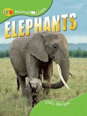 book cover of Elephants by Sally Morgan