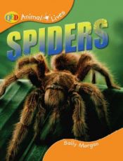 book cover of Spiders (Qeb Animal Lives) by Sally Morgan