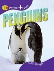 book cover of PENGUINS (QEB Animal Lives) by Sally Morgan