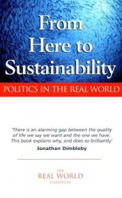 book cover of From here to sustainability : politics in the real world by Ian Christe