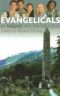 Evangelicals in Ireland : an introduction