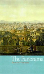 book cover of The painted panorama by Bernard Comment