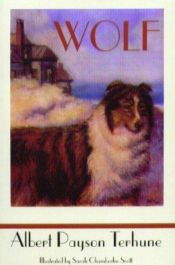 book cover of Wolf by Albert Payson Terhune