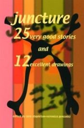 book cover of 25 Very Good Stories and 12 Excellent Drawings by Lara Stapleton