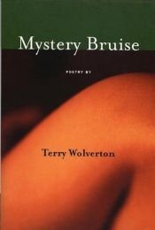 book cover of Mystery Bruise by Terry Wolverton