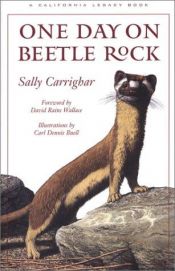 book cover of One Day on Beetle Rock by Sally Carrighar