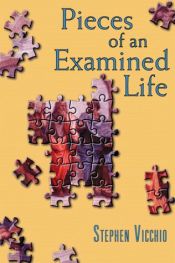 book cover of Pieces of an Examined Life: Essays and Stories by Stephen Vicchio