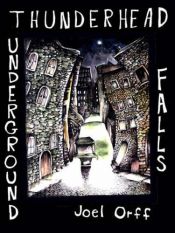 book cover of Thunderhead Underground Falls by Joel Orff
