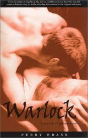 book cover of Warlock : a novel of possession by Perry Brass