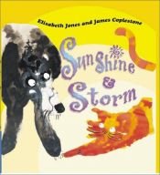 book cover of Sunshine and Storm by Elisabeth Jones