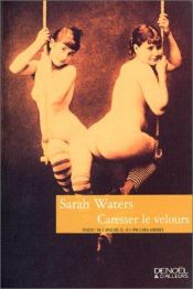 book cover of Caresser le velours by Sarah Waters