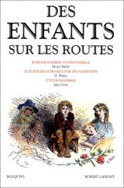 book cover of Des enfants sur les routes by Hector Malot
