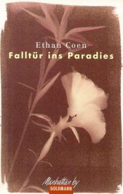book cover of Falltür ins Paradies by Ethan Coen
