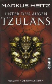 book cover of Het oog van Tzulan by Markus Heitz