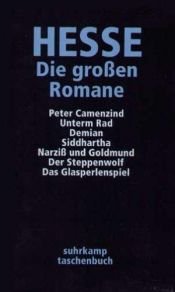book cover of Die großen Romane by 헤르만 헤세