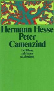 book cover of Peter Camenzind by Hermann Hesse