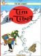 Tim & Struppi 19. Tim in Tibet