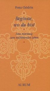 book cover of Beginne, wo du bist by Pema Chödrön