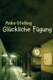 book cover of Glückliche Fügung by Anke Stelling