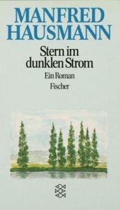 book cover of Stern im dunklen Strom by Manfred Hausmann
