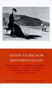 book cover of Meisternovellen by Anton Pawlowitsch Tschechow