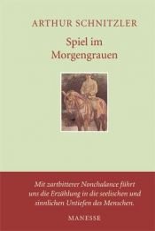 book cover of Spiel im Morgengrauen by Arthur Schnitzler