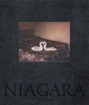 book cover of Niagara by Alec Soth