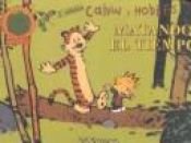 book cover of Calvin y Hobbes by Bill Watterson