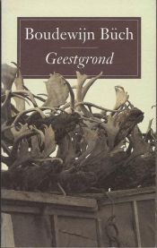 book cover of Geestgrond by Boudewĳn Büch
