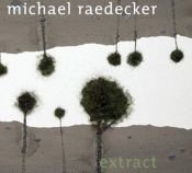 book cover of Michael Raedecker : extract by Michael Raedecker